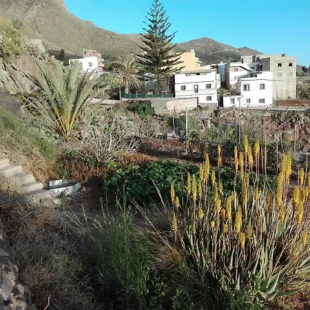 Patio Canario Lejlighed Arona (Tenerife)