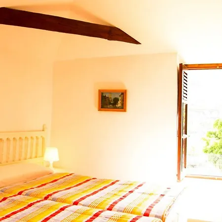 Patio Canario